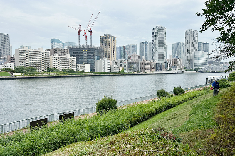 隅田川