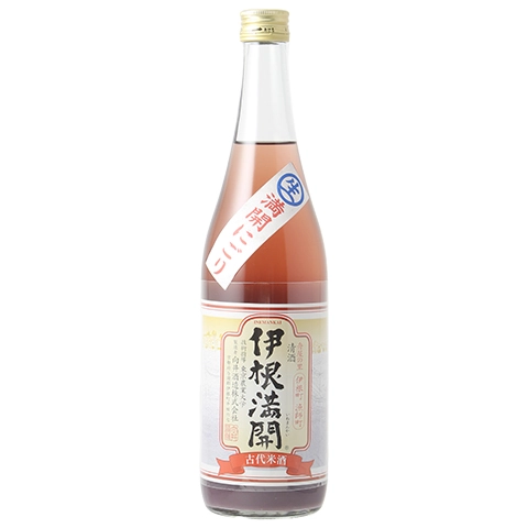 伊根満開